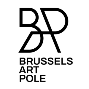 Brussels Art Pole School