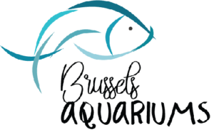 Compagnie Internationale d'Aquariophilie d'Agencement et d'Agrément NV