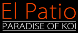 El Patio