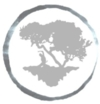 Espace Qi Gong