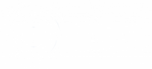 Icare Executive Search